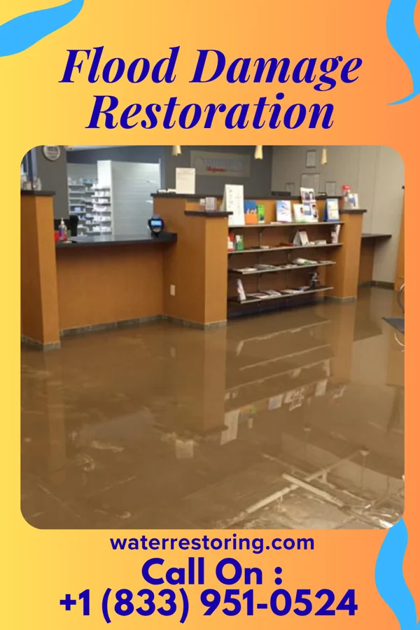 Flood Damage Restoration in Deep River, WA